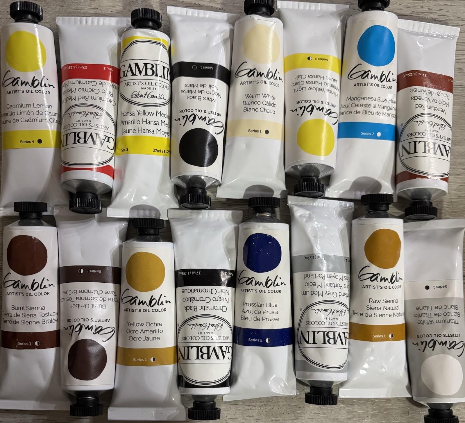 Gamblin Artist’s 16 Oil Colors Set 37ml Paint Tubes Robert NEW Art Canvas Brush