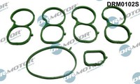 Dr.Motor Automotive Dichtungssatz, AnsaugkrüMmer DRM0102S FüR Alfa Romeo