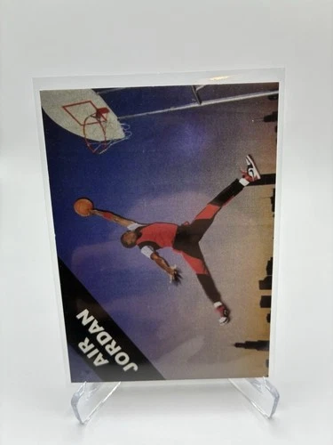 Jordan 1990 Jordan
