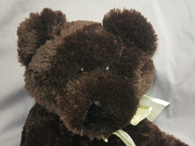 dandee stuffed bear