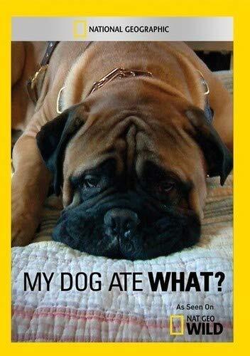 My Dog Ate What? (DVD)