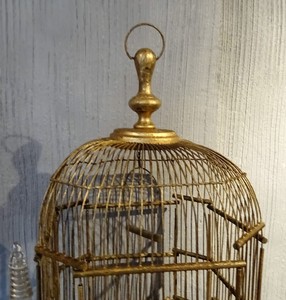 Détails Sur Superbe Cage à Oiseaux En Bois Doré 19ème Siècle