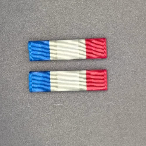 Moiré Replacement for SGAUS Civilian Exceptional Service -Set of 2