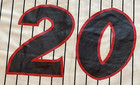 Lakewood Blue Claws 20th Season 2001-2020 SGA Adult L Jersey Rare Success NWOT — photo 8