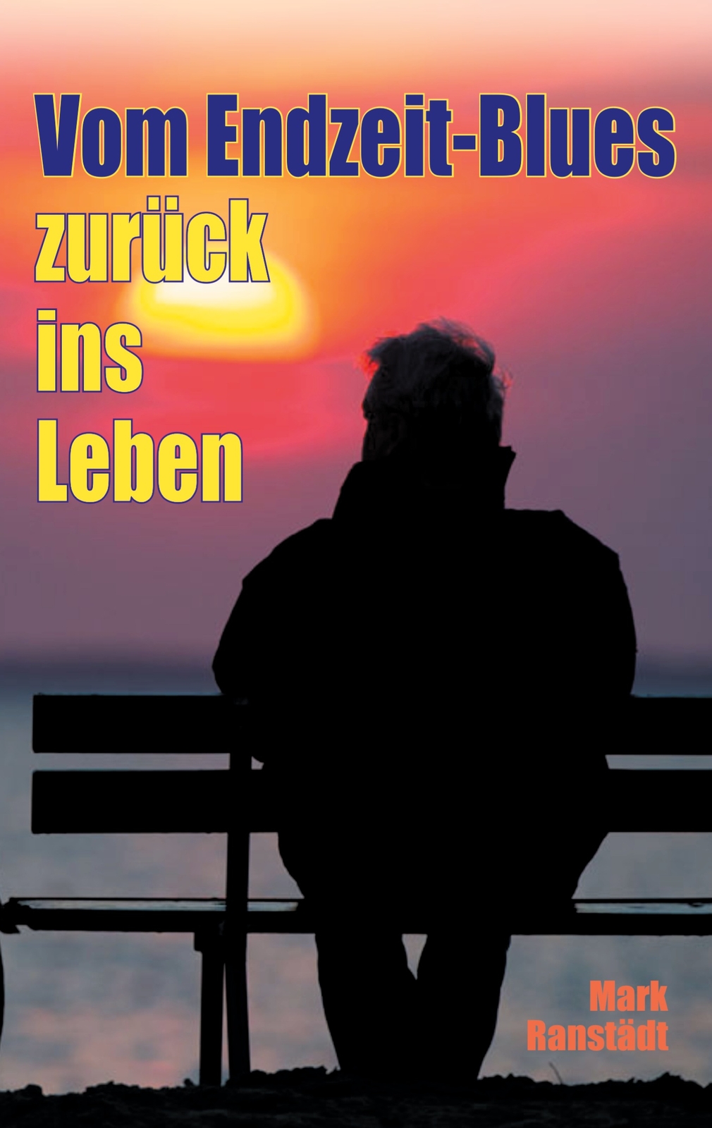 Thumbnail - Vom Endzeit-blues Zurück Ins Leben (buch)
