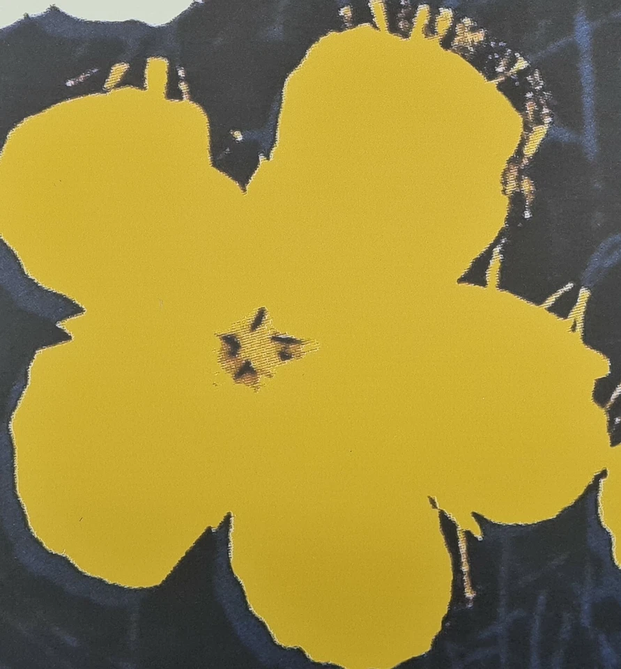 ANDY WARHOL * Flowers * lithograph * limited # xx/2400 CMOA signed - Bild 3 von 4