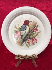 HORNSEA 'Concept' Decorative 8.5'' 'Red-headed Woodpecker' Plate c.1970's VGC