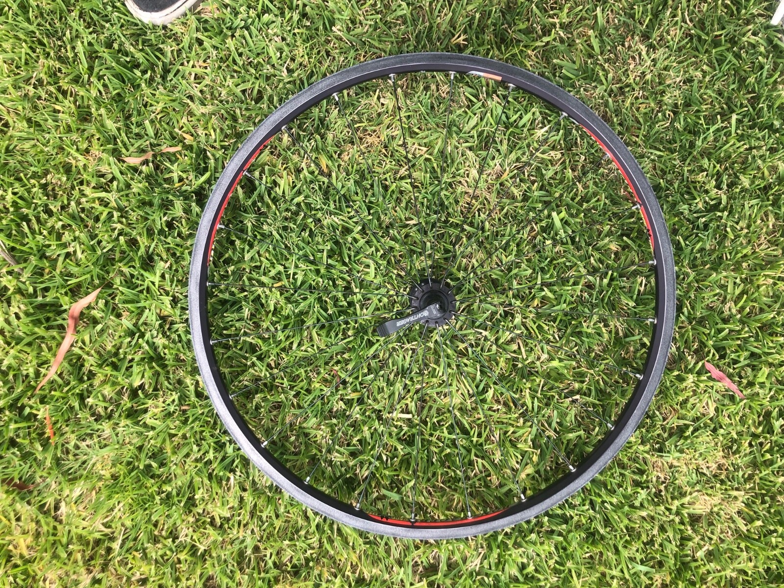 bicycle shorts & briefs