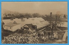 Walton, NY, Tripps Green Houses, Real Photo RPPC Postcard