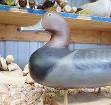 1984 Red Head Drake Decoy By Robert  "Bob"  Litzenberg  (1910-1997)