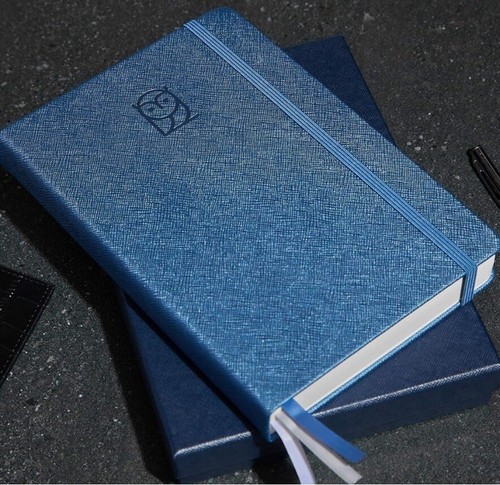 WYZE Undated 6-Month Goal Planner Journal Organizer Daily Weekly Monthly Blue - Picture 7 of 7