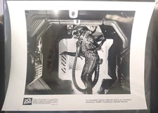 1995 Original Alien "Unstoppable Creature" Fox Press Kit Movie Still Mint JC