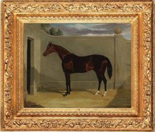 Old Master-Art Antique Oil Painting animal A Bay Racehorse on canvas 24"x30"