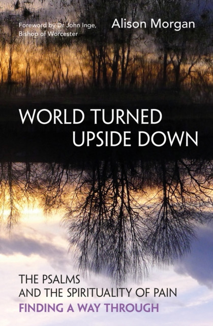 World Turned Upside Down by Alison Morgan (Paperback Book)