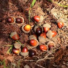 Foto 5 di 27