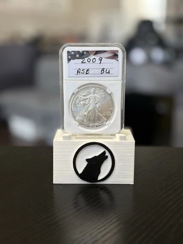 2009 American Eagle 1 oz Fine Silver .999 $1 Coin BU One Dollar 🦅