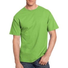 Hanes Men's Tagless Short Sleeve Tee, Choose WIth OR Without Pocket