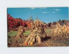 Postcard Harvest Time Scene