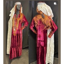 Renaissance Woman Costume - Handmade One-of-a-Kind - Womans Medium