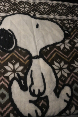 Codello X Peanuts