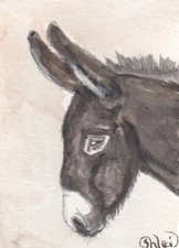 ACEO original Watercolor Art Card HORSE black *Mammoth Jackstock stud colt