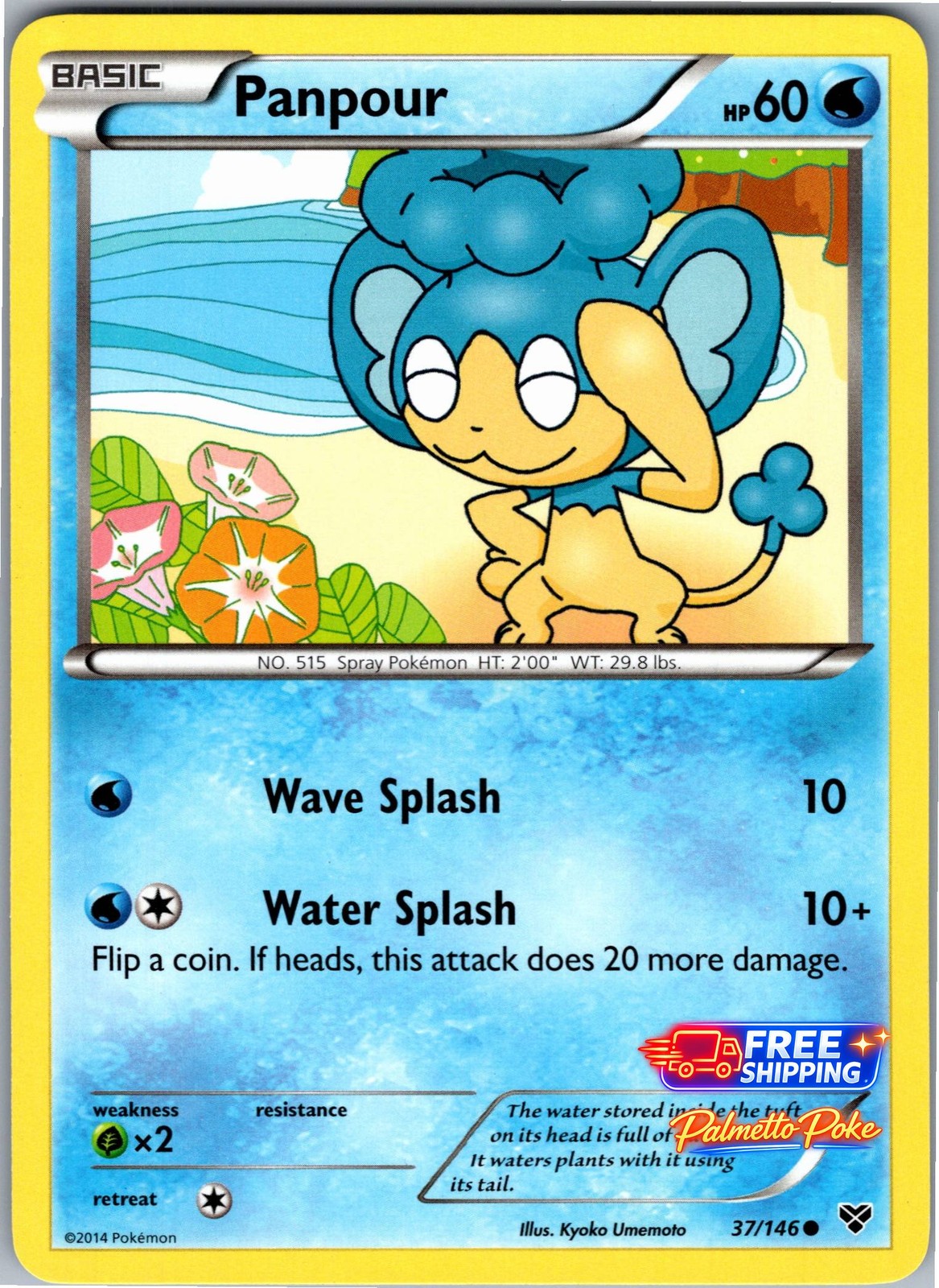 Panpour 37/146 Common XY Base Set Pokemon NM/LP