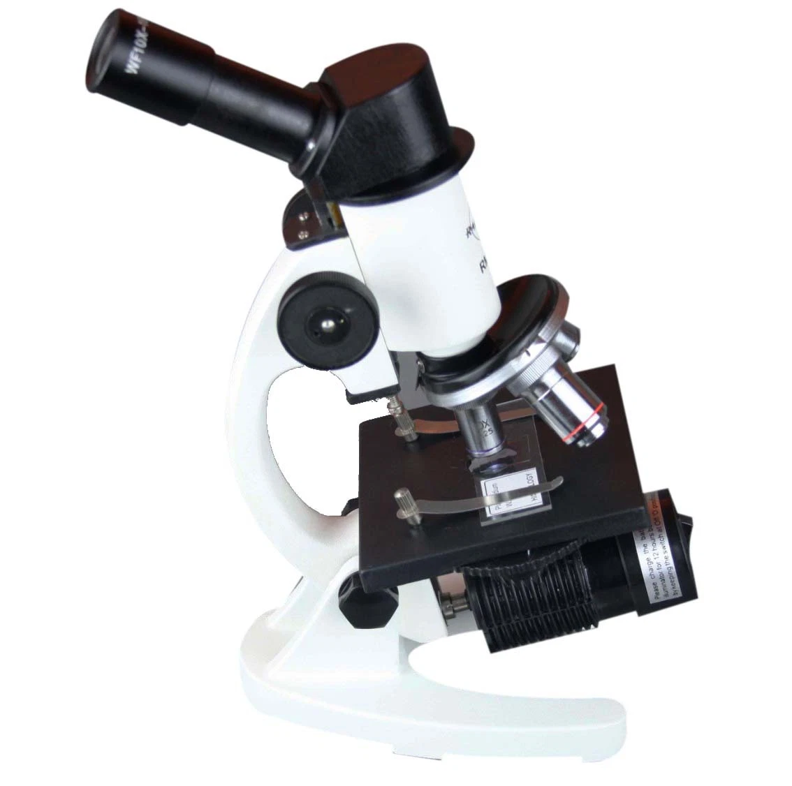 Compound Light Microscope Unlabeled