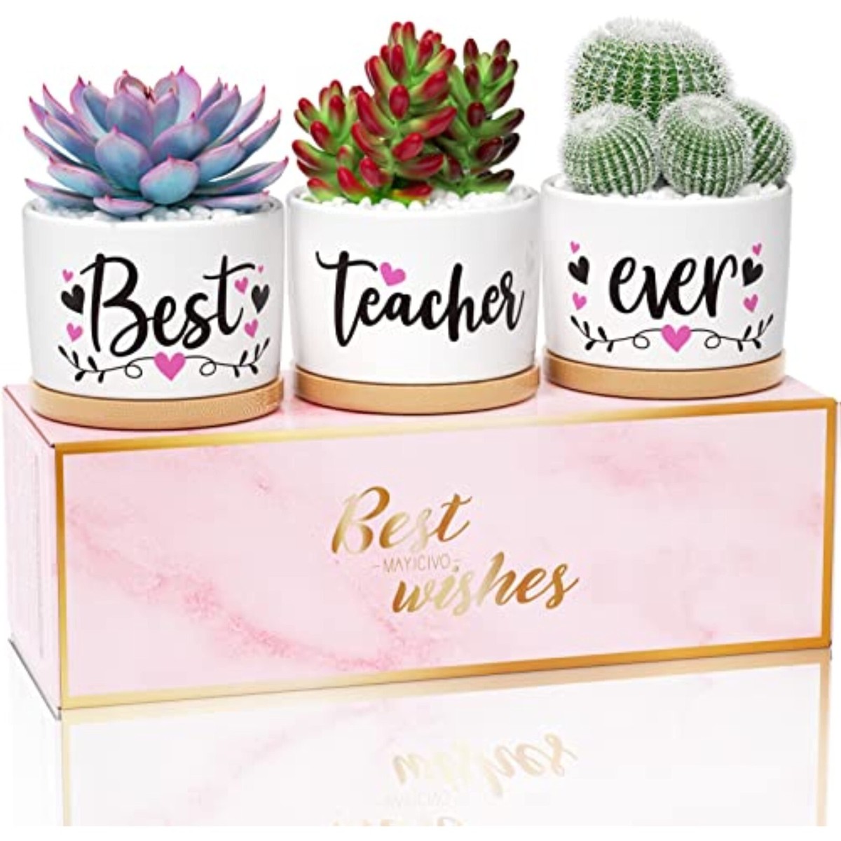 Thank You, Best Teacher Gift Ceramic Pots Succulent Planter Pots with  Drainage | eBay