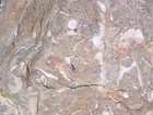 ANCIENT FOSSIL ROCK--UNIQUE & ONE OF A KIND--FROM CALIFORNIA — photo 10
