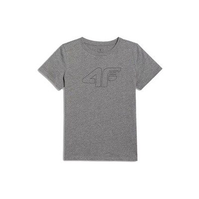 T-shirt Universal Boy 4F KOSZULKA4FM2417REDNISZARYMELAN164 Grey