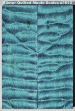 Outstanding Stabilized Blue Blister Quilt Maple scales 1612, 6 x 2 1/16 x 3/8 "