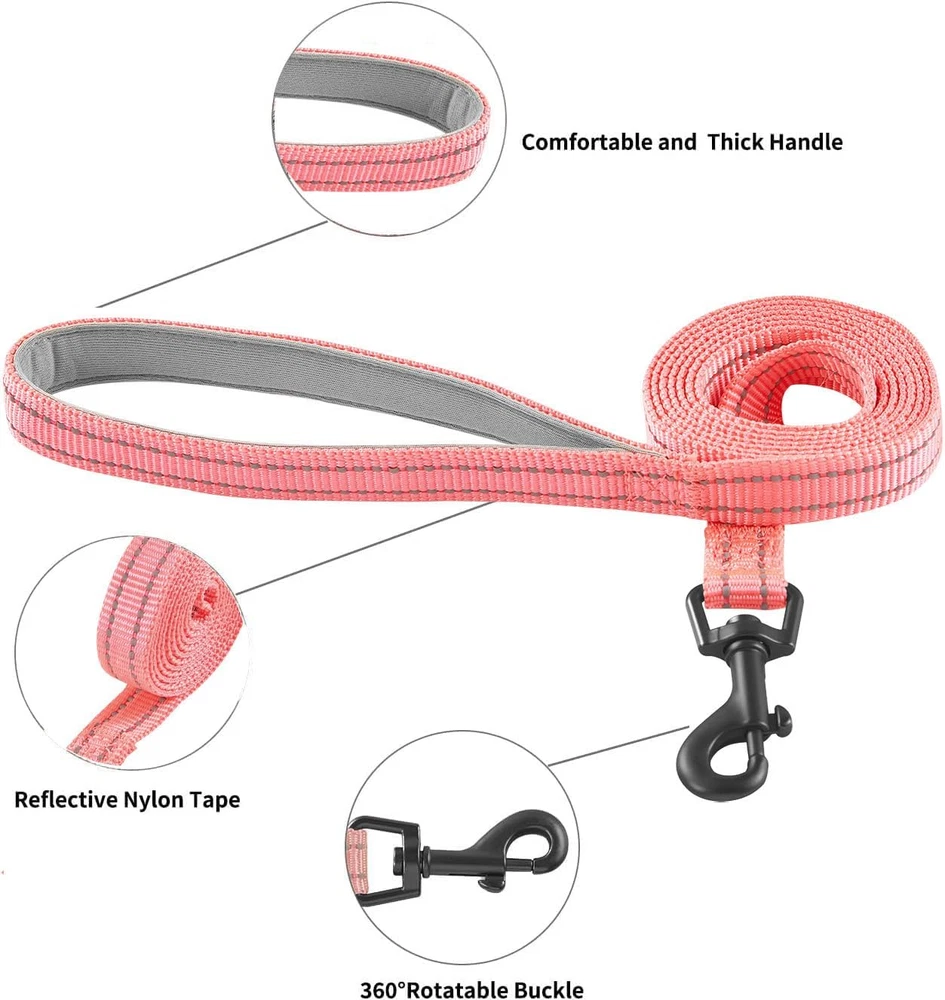 Dog Harness and Leash Set, No Pull Soft Mesh Puppy Harness for Small Medium Dogs
