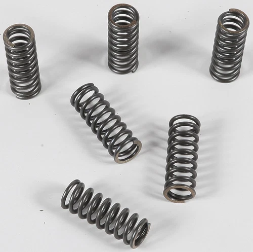 EBC - CSK45 - CSK Clutch Spring Kit 10% Stiffer Than Stock Springs