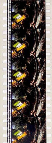 Jurassic Park 1993 Very Rare Unmounted 35mm Film Cells - Steven Spielberg - Picture 94 of 142