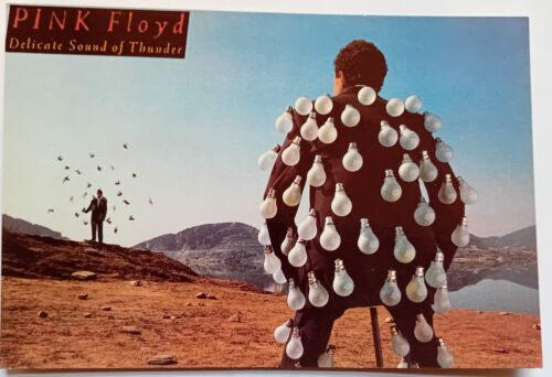 PINK FLOYD Delicate Sound Of Thunder Vintage Postcard Size A6 - Afbeelding 1 van 2