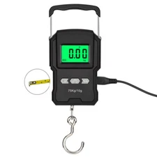 Hand Digital Luggage Scale 75kg/10g Fish Luggage Postal Hangin Hook Weigh Z6R1