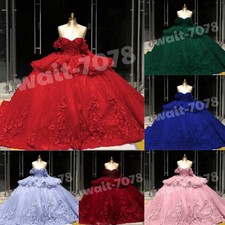Exquisite Quinceanera Dresses 3D Flowers Sweet 16 Off Shoulder Mexican Ball Gown