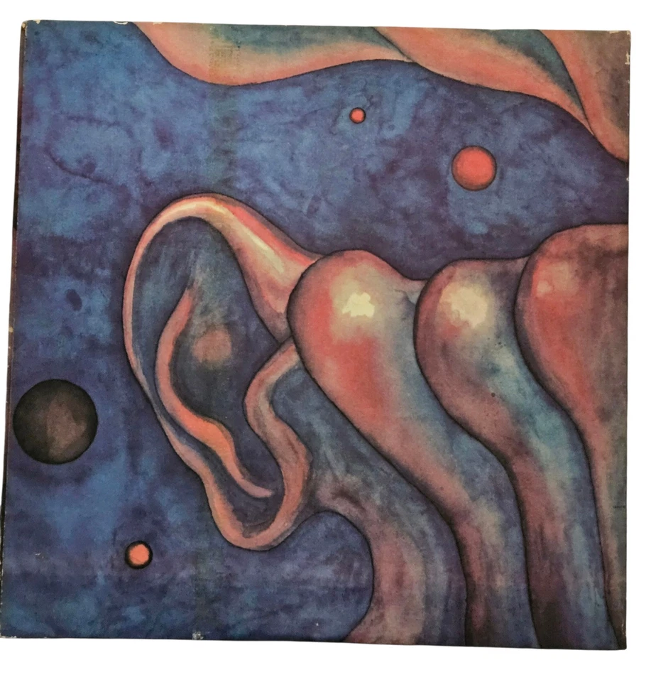 "In The Court Of The Crimson King" de King Crimson 1969 estéreo SD8245 vinilo Lp Foto 2 de 4