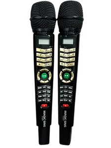 Système de Karaoké, Microphone sans Fil Tout en Un Karaoké Complet 30W ,2 Microphones Karaoké