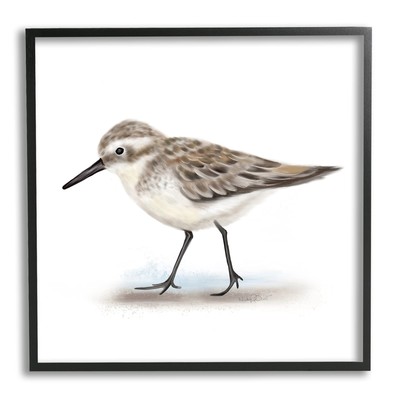 Nautical Sandpiper Bird on Sand Speckled Feathers Wall Art, 17 x 17, Black Fr...