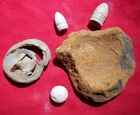 dug Civil War exploded Artillery shell Borman Fuse bullets relics Spotsylvania