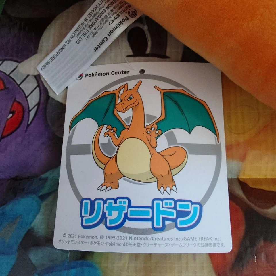Pokemon Charizard Plush 30cm Movable Wings Pokemon Center Collector Item - Image 4 of 4