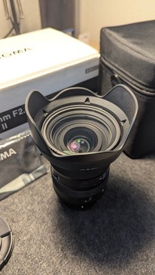 Sigma 24-70 mm 1: 2,8 DG DN II Art Objektiv für Sony E
