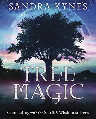Tree Magic by Sandra Kynes - - Image 6