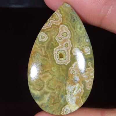 Natürlich Ozean Jaspis Birne Cabochon Lose Edelstein 47.70 Karat (25 x 42 X 05