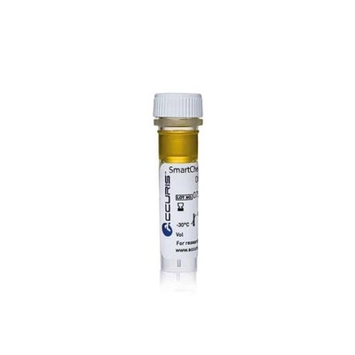 Accuris SmartCheck  1kb DNA Ladder, 500ul / 100 lanes
