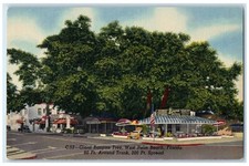 Postal c1940 Giant Banyan Tree Grand Around Trunk West Palm Beach Florida FL