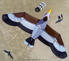 New Percy the Pelican Kite hand signed by Joel K. Scholz