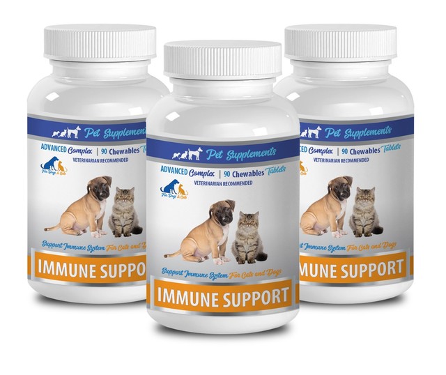allergy support for dogs