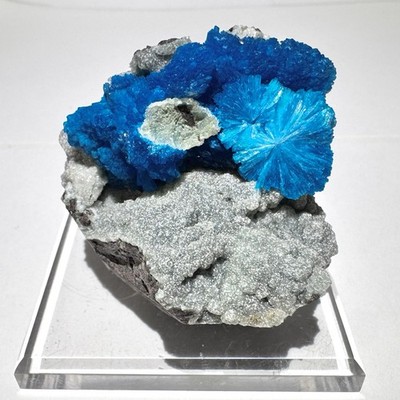 Cavansite Crystal Cluster 1.8  63g Mineral Specimen - Wagholi Mine, India